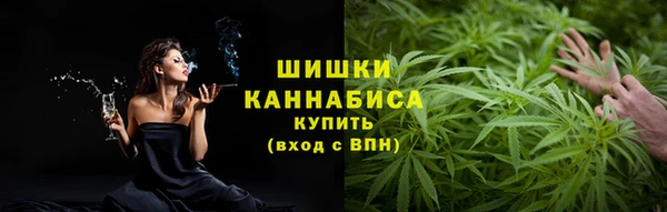 стафф Касимов