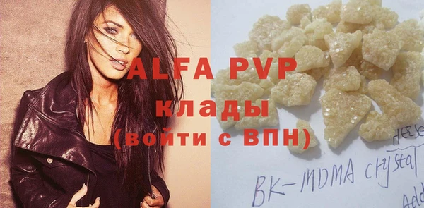 стафф Касимов