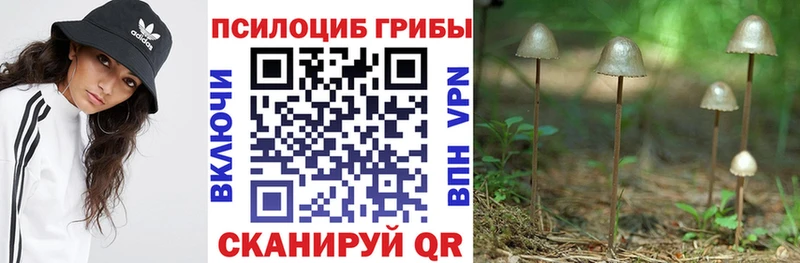Псилоцибиновые грибы мицелий  Купить закладки  Беслан 
